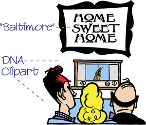 Baltimore_DNA_Layouts